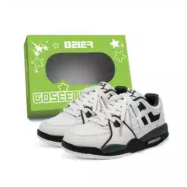 BEIER