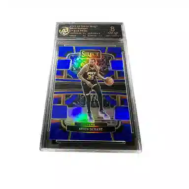 PANINI KD RPA