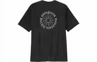 patagonia T