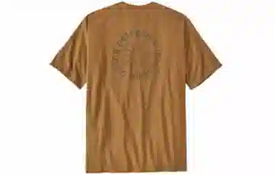 patagonia T