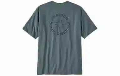 patagonia T