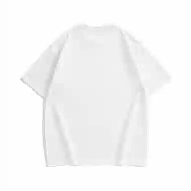 Hansca T
