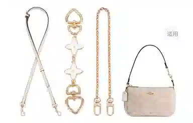 COACHnolita19diy