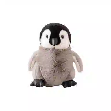 20cm30cm