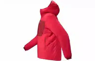 Arcteryx Proton Heavyweight Hoody