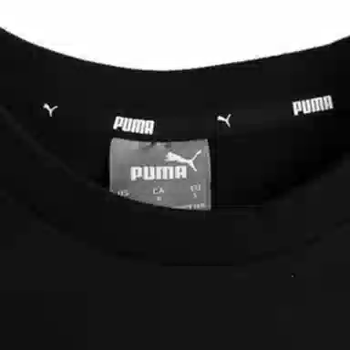 Puma T