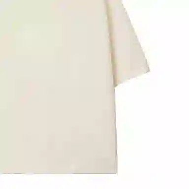 Burberry T