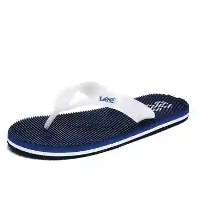 Lee