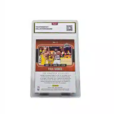 PANINI Hoops 9.5
