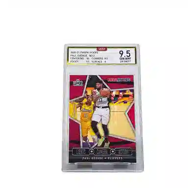 PANINI Hoops 9.5