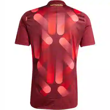 adidasT AEROREADYGermany 25 AWAY JERSEY logo