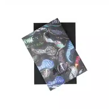 Nike Air Foamposite One "Galaxy" Retro