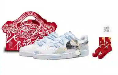 Nike Court Vision 1