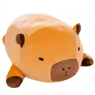40cm50cm60cm80cm