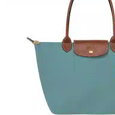 Longchamp Eucalyptus Medium Tote