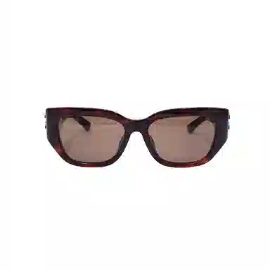 Balenciaga BB Sunglasses
