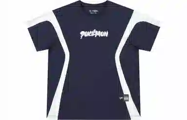 VEIDOORN x POKEMON T