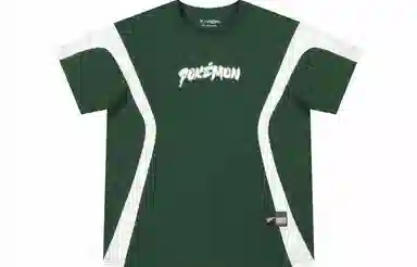 VEIDOORN x POKEMON T