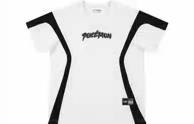 VEIDOORN x POKEMON T