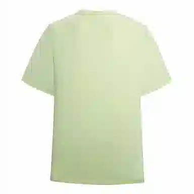 NORTHLAND PROFESSIONAL T