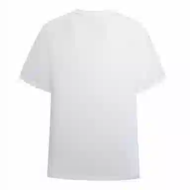 NORTHLAND PROFESSIONAL T