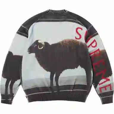 Supreme x Damien Hirst Sweater