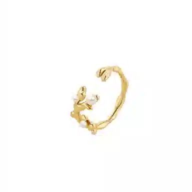 Amber Lollipop Venus