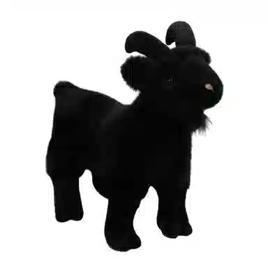 lionf 30cm