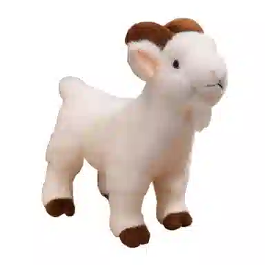 lionf 30cm