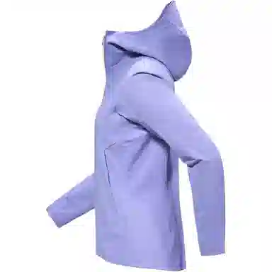 Arcteryx Gamma Hoody