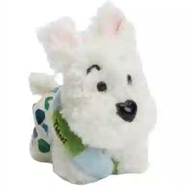 Tagi. hahapet 12cm12.5cm