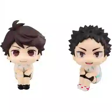 MegaHouse lookup Ver Q