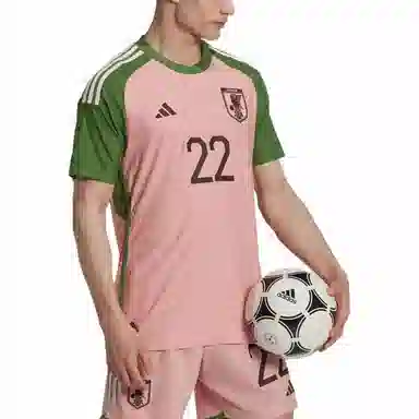 adidas Japan 22 Pink