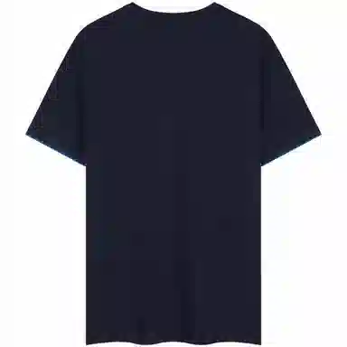 Tommy Hilfiger T
