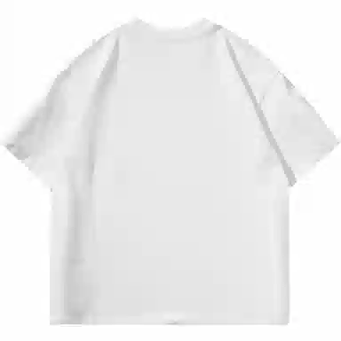 PISYPOX T