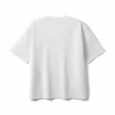 SIMWOOD T