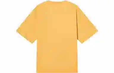 Champion Rochester SS23