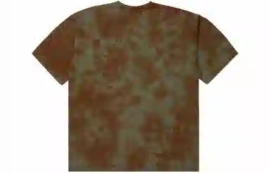 Champion SS23 Rochester LogoT