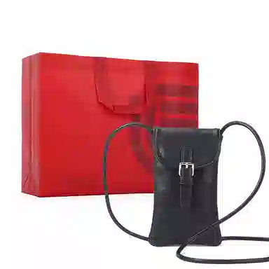 都宝路 韩版时尚轻便百搭休闲 合成革 单肩斜挎手机包 小号 女款 多色