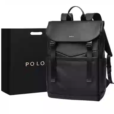 POLO 17.3