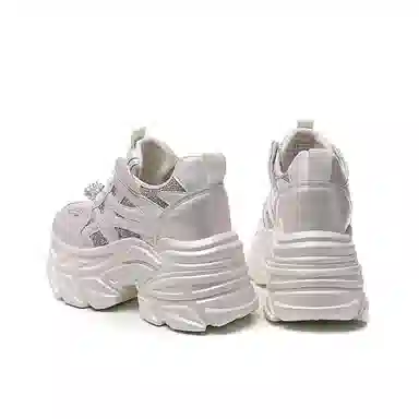AQUASCUTUM