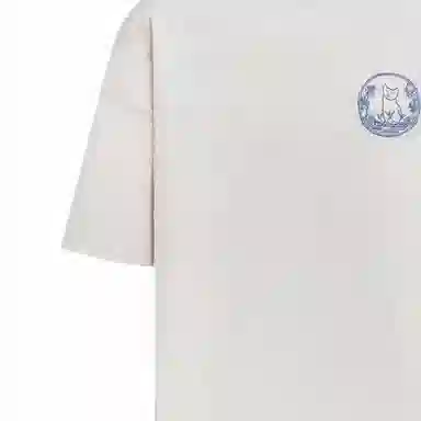DIOR T