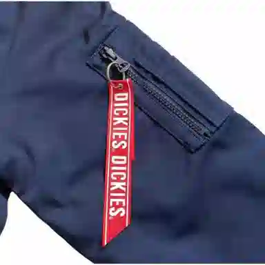 Dickies Logo