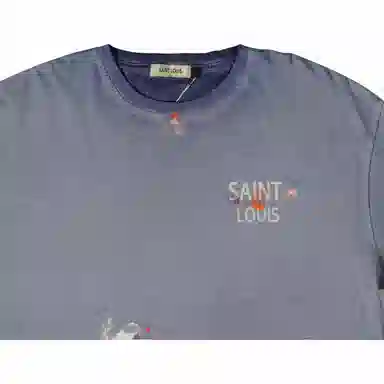 SSSAINT LOUIS T