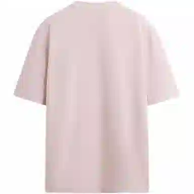 ZARA T