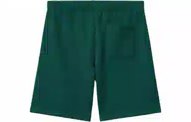 Carhartt WIP Shorts Green