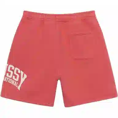 Stussy SS24 FLEECE SHORT INTERNATIONAL Logo