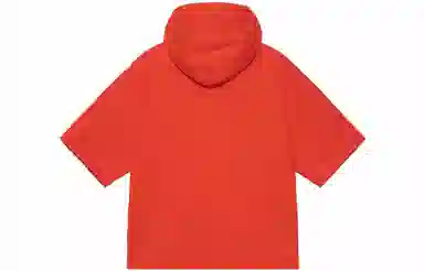 Stussy SS Boxy Cropped Hoodie