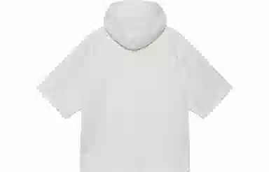 Stussy SS Boxy Cropped Hoodie