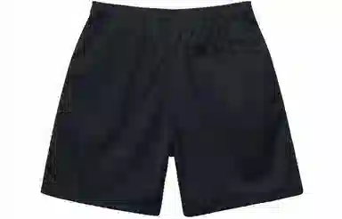 Stussy SS23 ARCH MESH SHORT